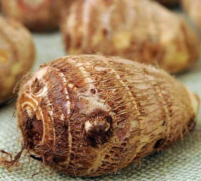 benefits of vegetables which are produced underground