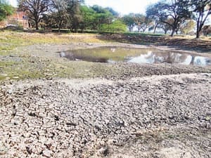 pond without water