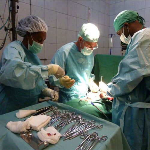 doctors found 150 earthworms in a woman stomach