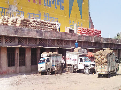 Potato recession, farmers
