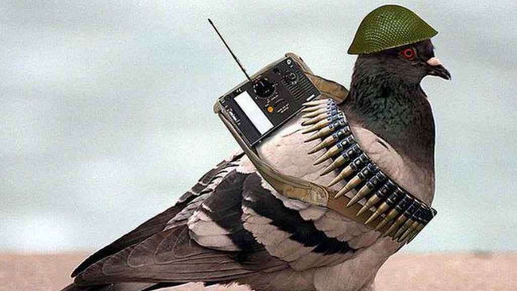 Demonetization-ISI handlers denied to pay their spies for missions in India 