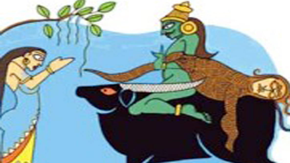 old woman killed by bull