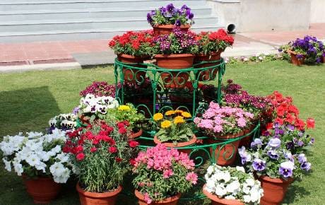 Flower Show 4 in GRM
