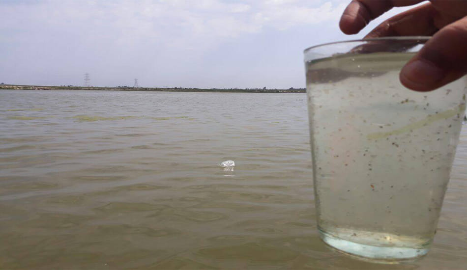bugs found in ganga river at kanpur