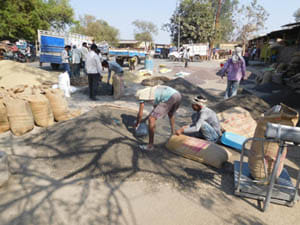 mandi lalitpur