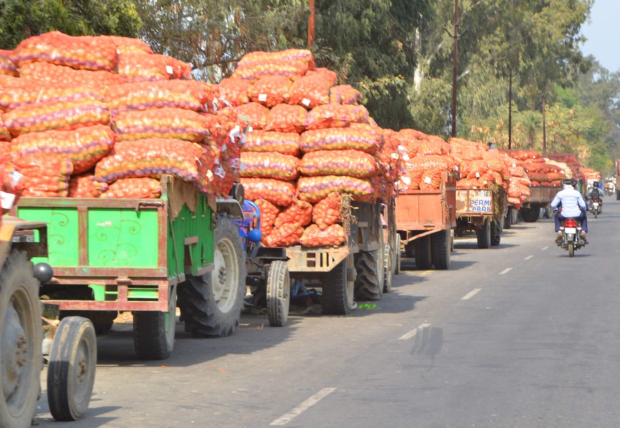 Government will buy potatoes from farmers Rs 500 per quintal