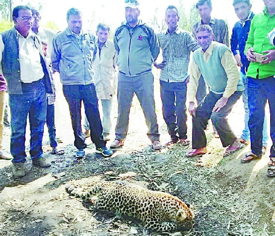 Sllahpur Guldar found the body in the woods