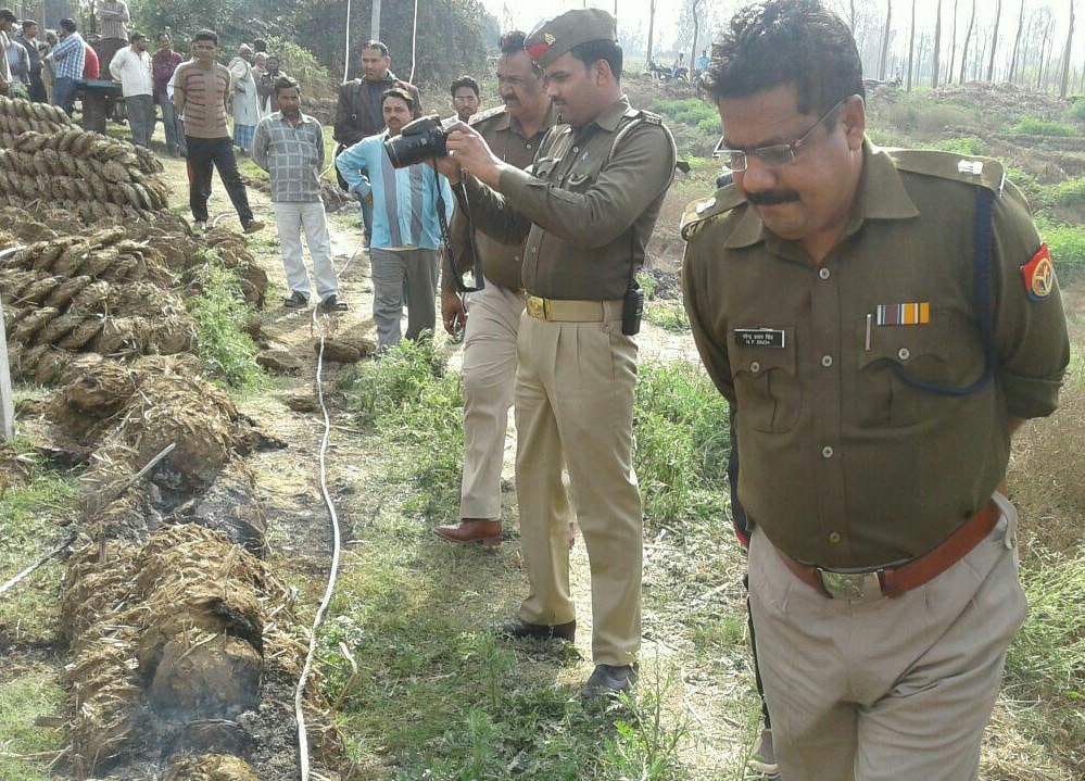  thief burnt in amroha 