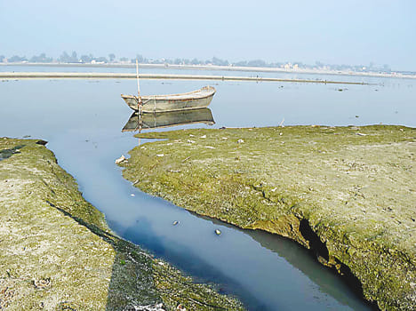 40 per cent of the toxic river water