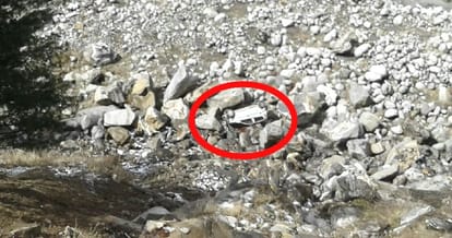 Delhi Newly Marriad Tourist Killed in Car Accident at Manali.