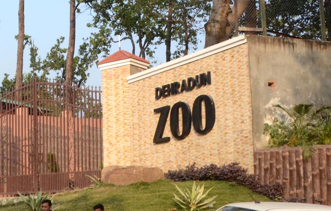 grass will grow in wind at dehradun zoo