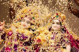 religious fag programme in udaipur temple