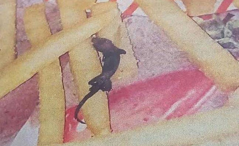 Fried lizard found in McDonald's french fries at Kolkata outlet