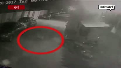 Dog chases away leopard in Goregaon Mumbai