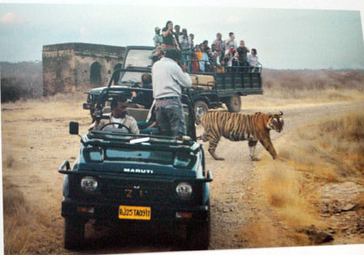 photo gallery in kanpur