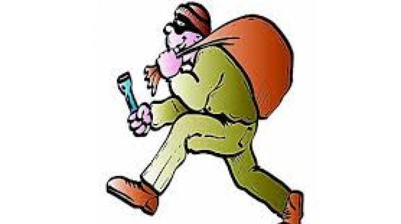 robbery from old woman in udaipur