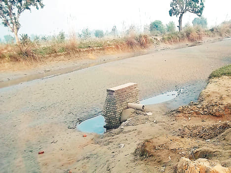 The canal was dry, water-hungry crops