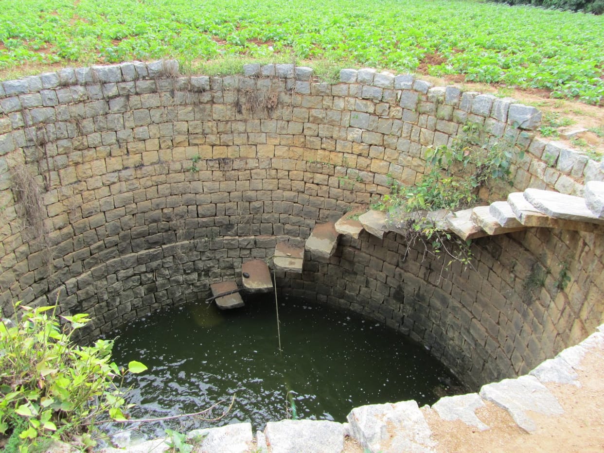 two students fell down into the well trying catching birds
