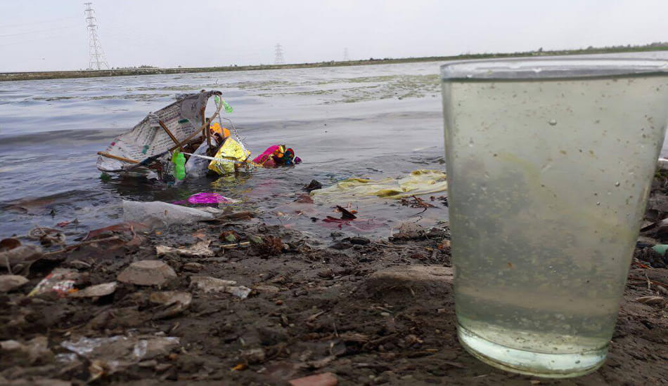 ngt queationing on ganga river bugs