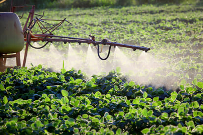 insect resistance to bt crops