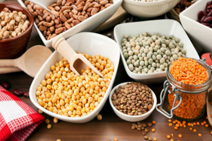 insect resistance to bt crops