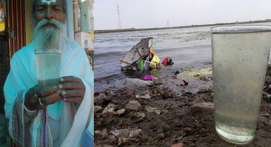 ngt queationing on ganga river bugs