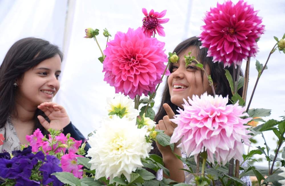  vasant utsav in dehradun raj bhavan