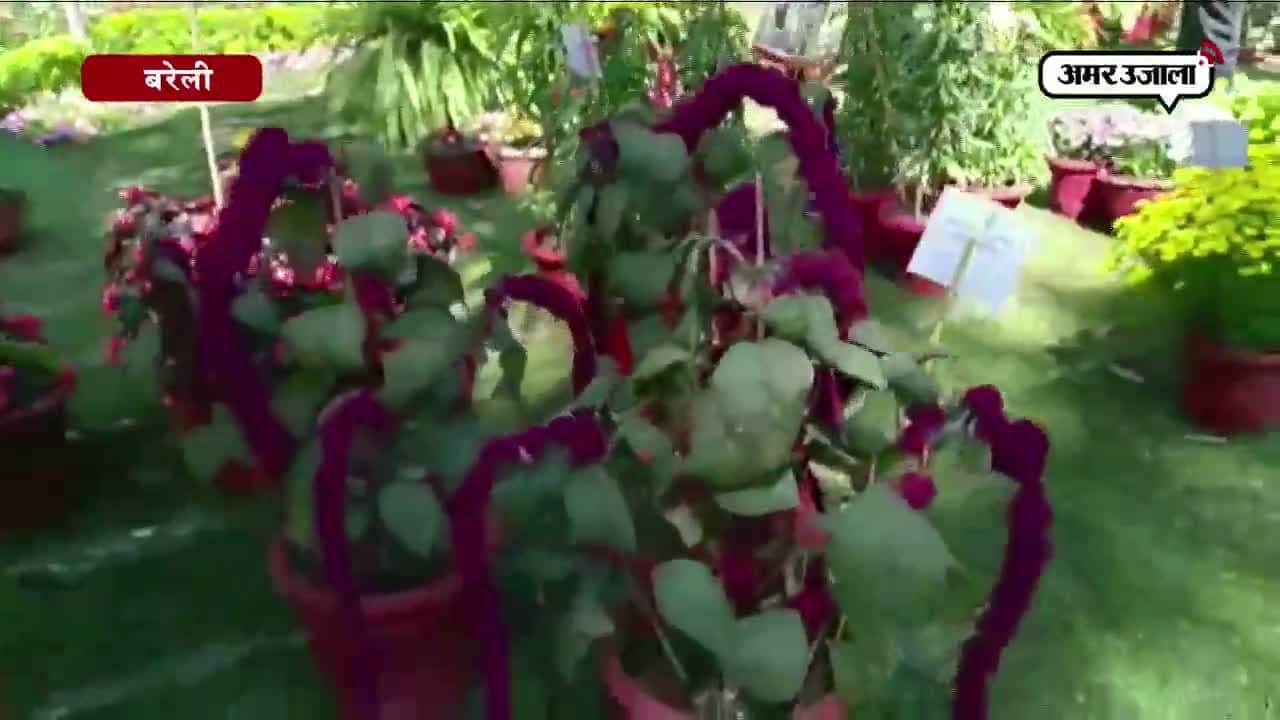 फूलों की बगिया