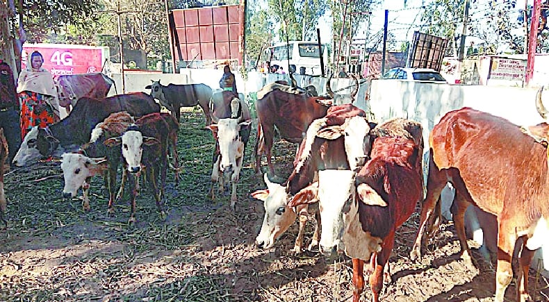 58 rescued its progeny, also arrested eight traffickers