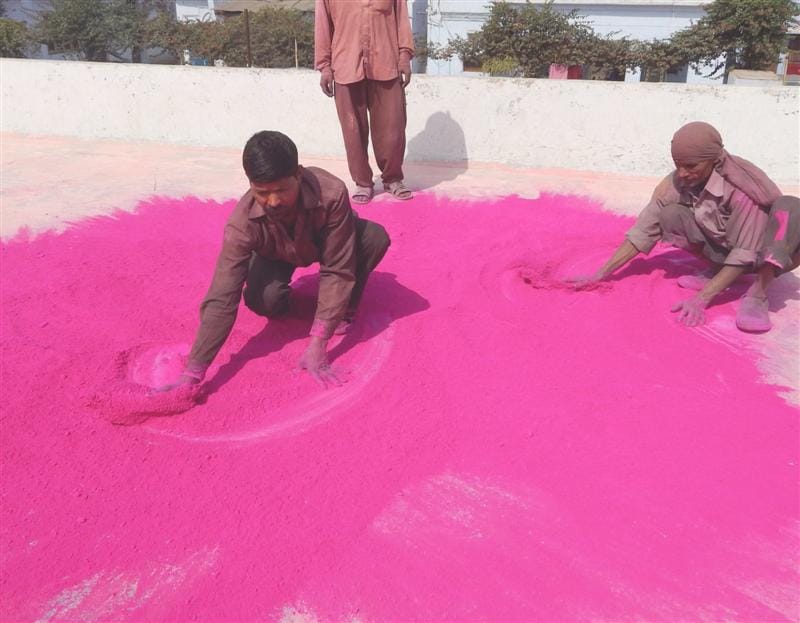 Holi colors are faded business
