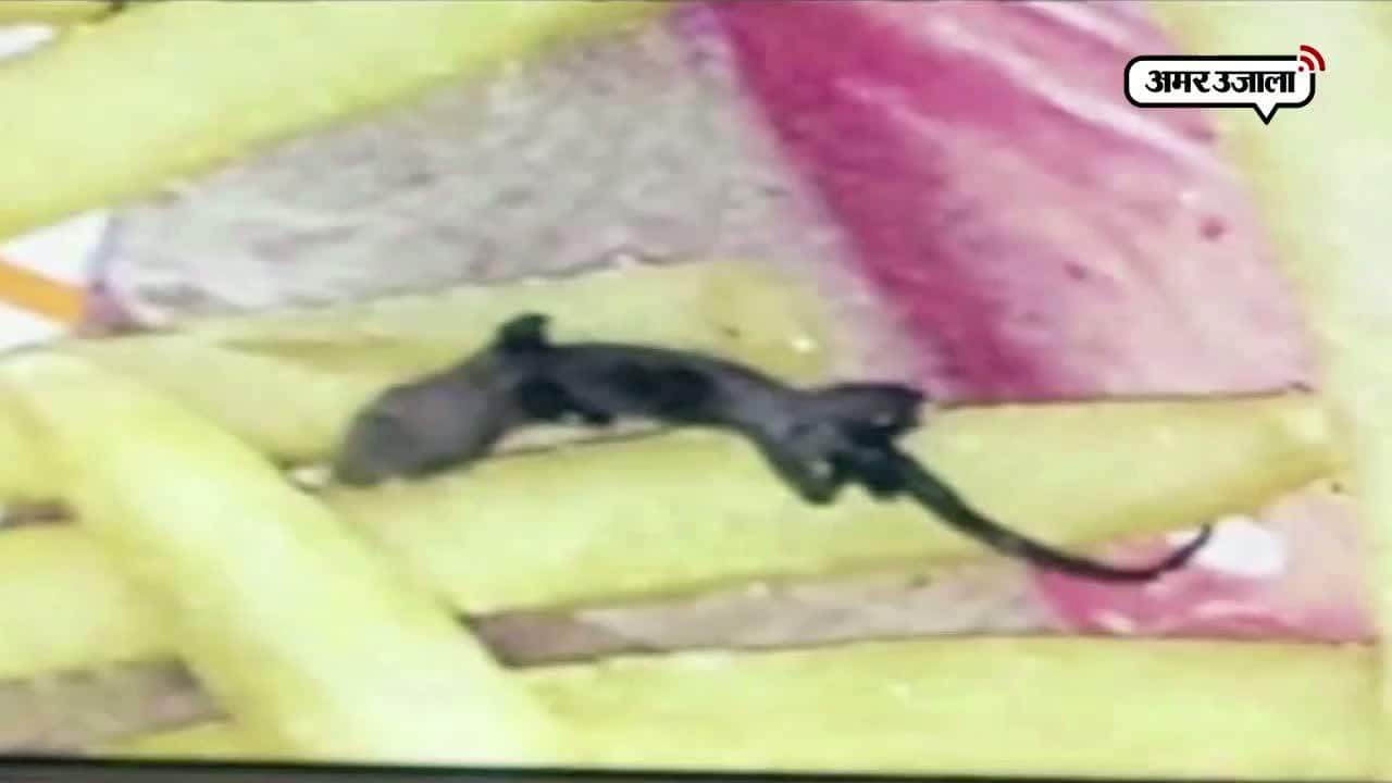 खाने में छिपकली