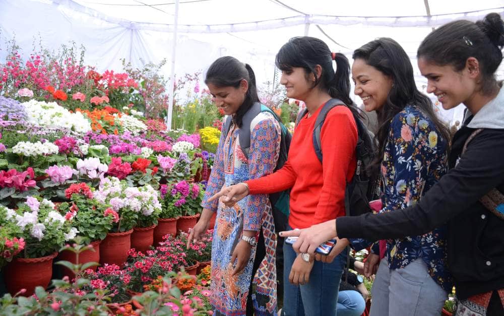  vasant utsav in dehradun raj bhavan