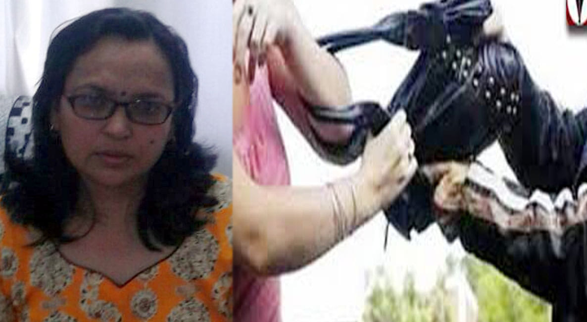 inspectors wife looted by criminals