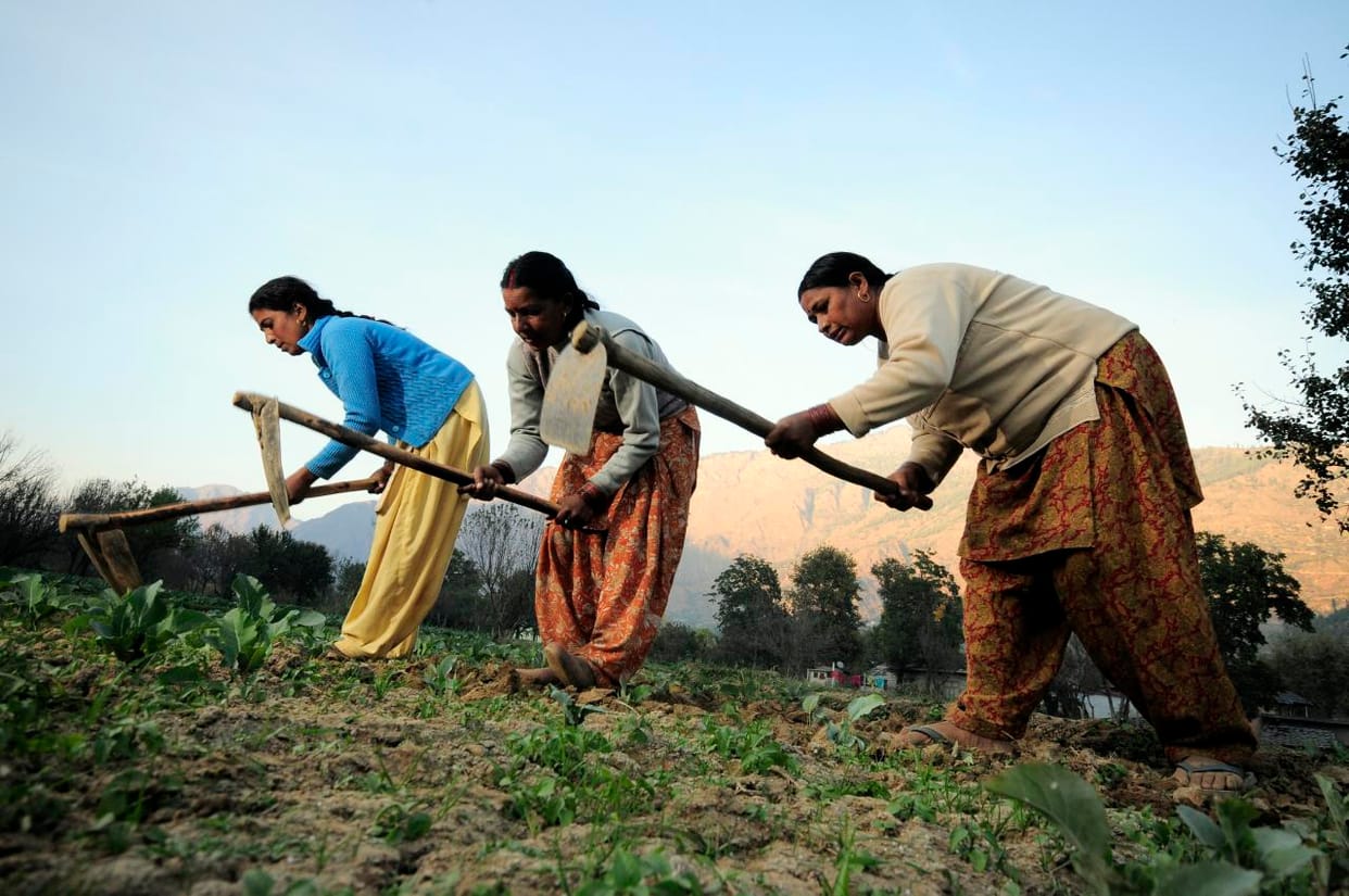 The classes are divided left hand student in agriculture