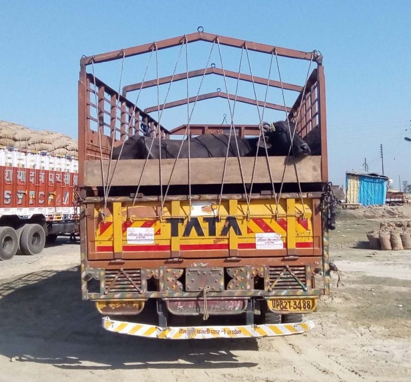 Cyclist killed by truck