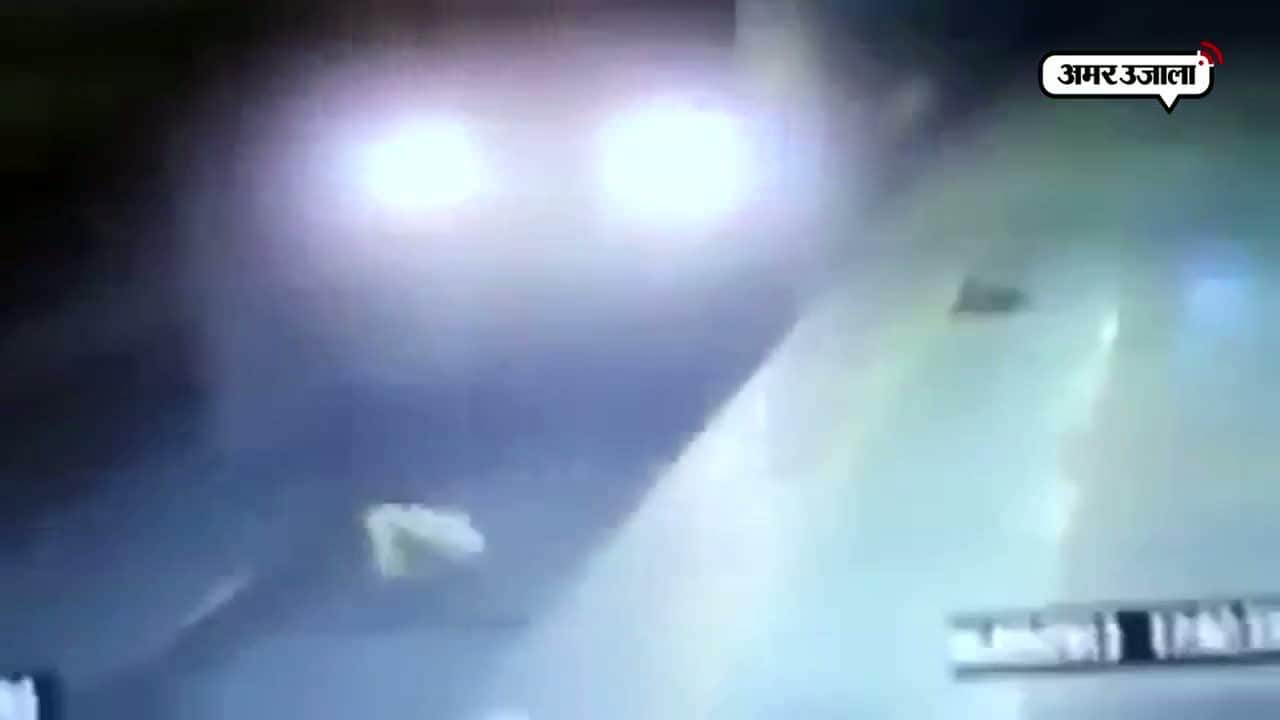 वाइरल वीडियो