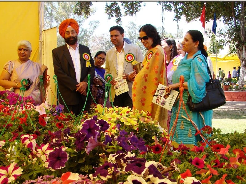Government Mahindera college, flower show, competitions, two hundred rewarding, Patiala