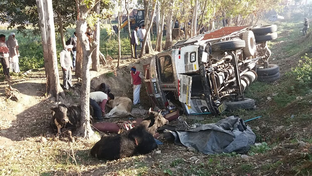 Cow smugglers showered bullets on villagers, escaped after hoodwinking the police 