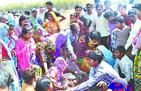 Another man-made tiger hunt