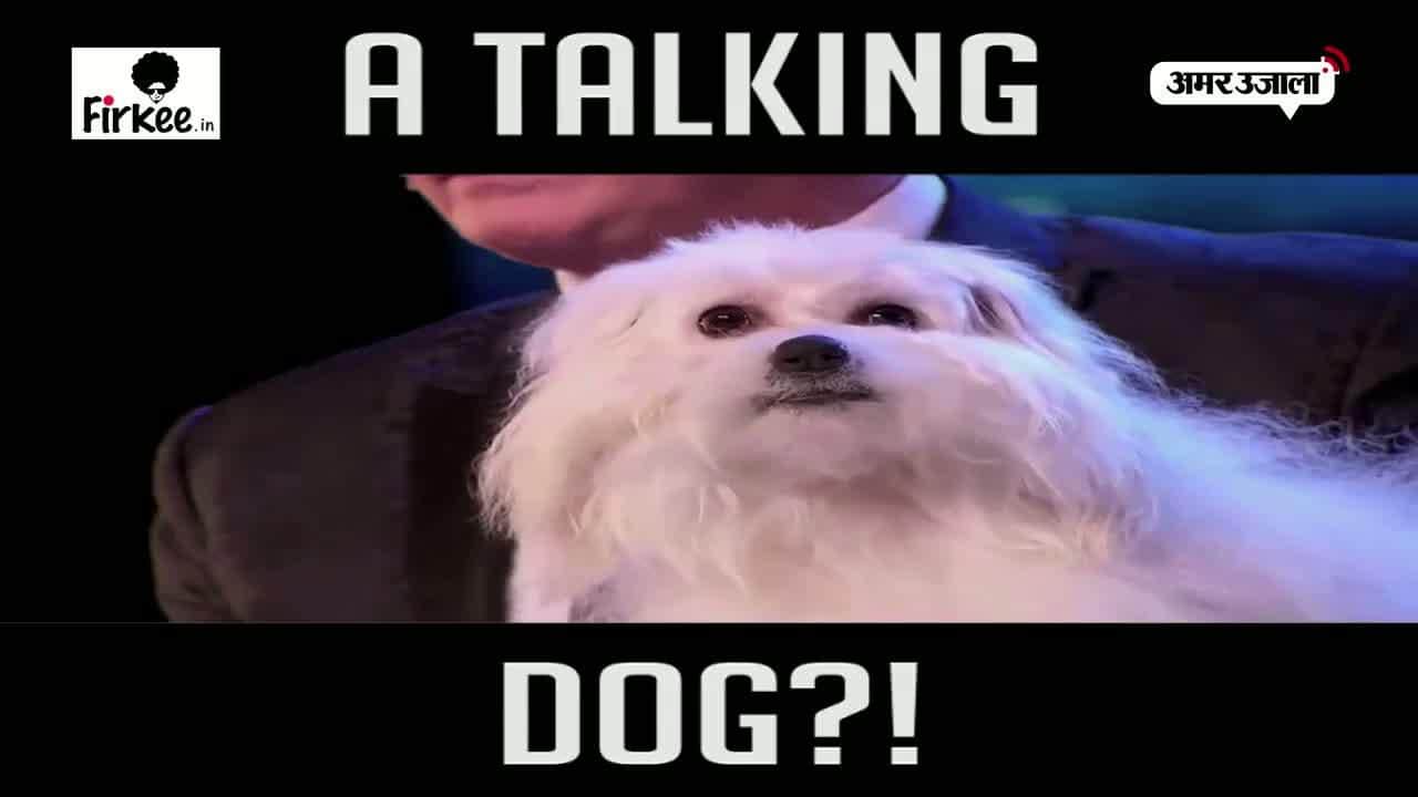 बोलने वाला कुत्ता 