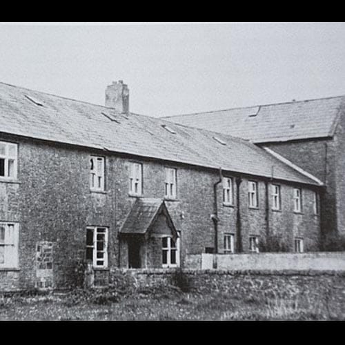 mass grave found in Catholic home in ireland where many babies were buried