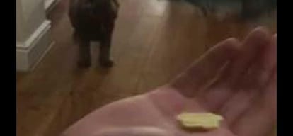 man man finds only one chips from packet then shared his bad experience on Facebook
