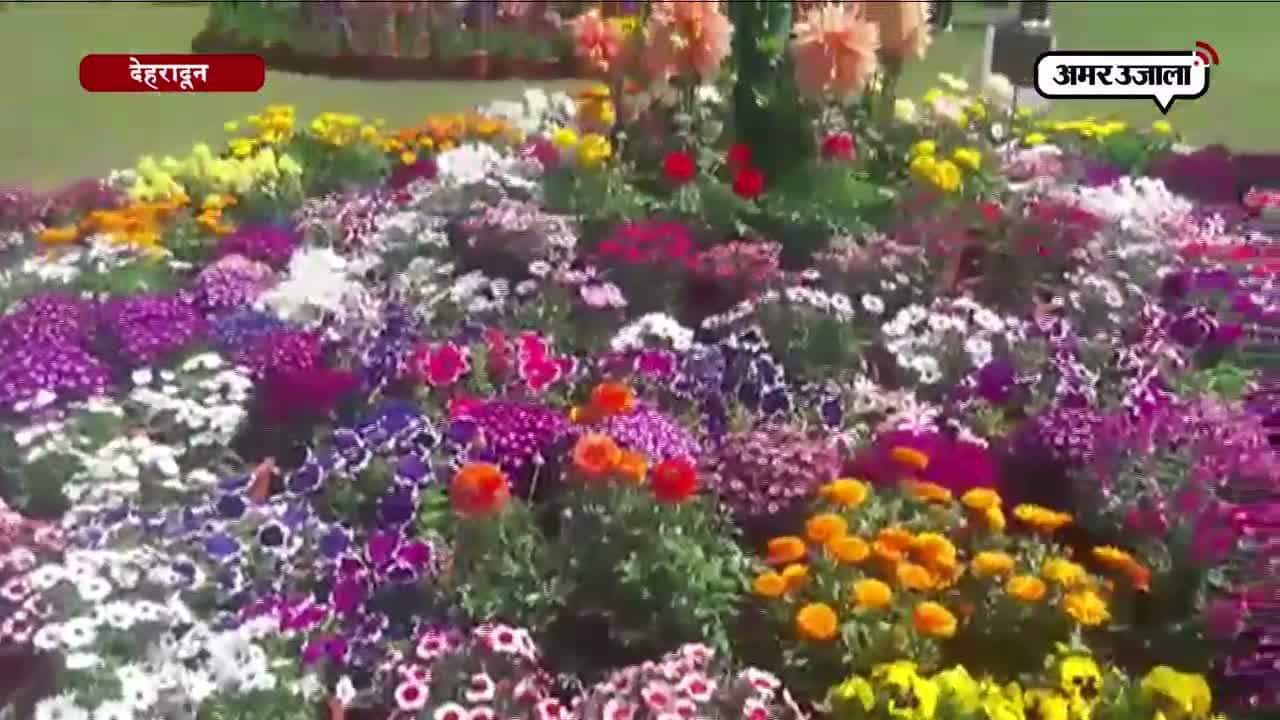 देहरादून