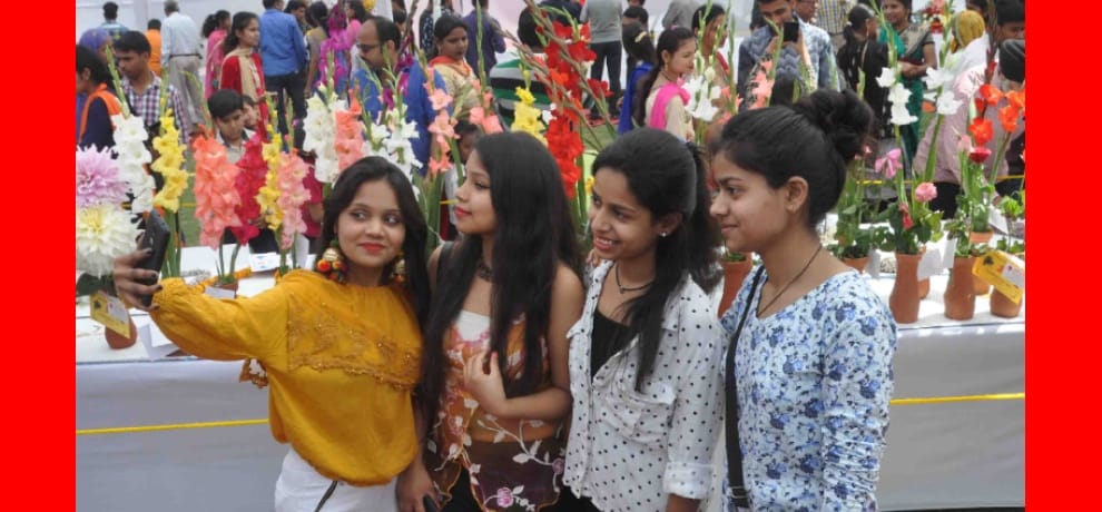 Flower Show: Town Park was filled with the scent of flowers