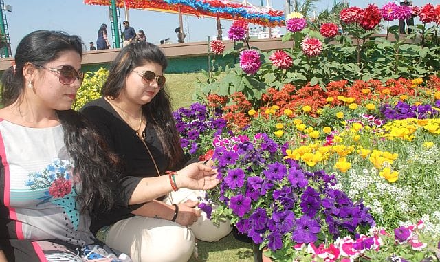 Gulshan Gulshan-flowers were blooming, the flower show finale