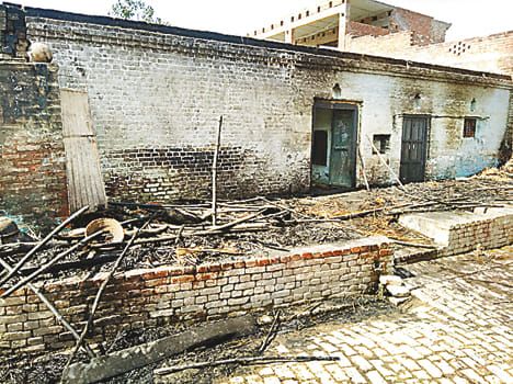 Household Ash, female scorching by fire