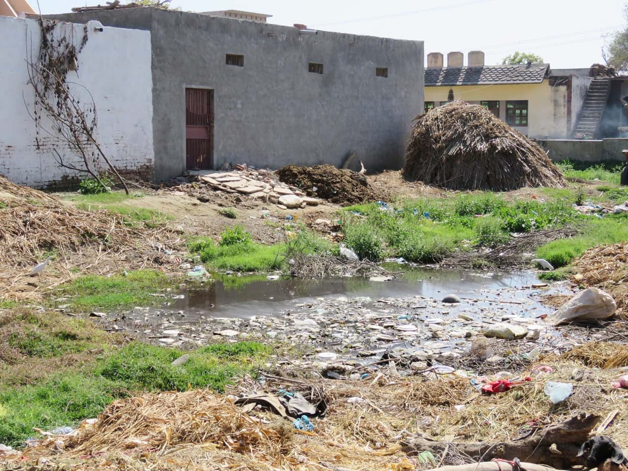 Village Sdharnpur vulnerable to cancer seven deaths in eight months, many sufferers