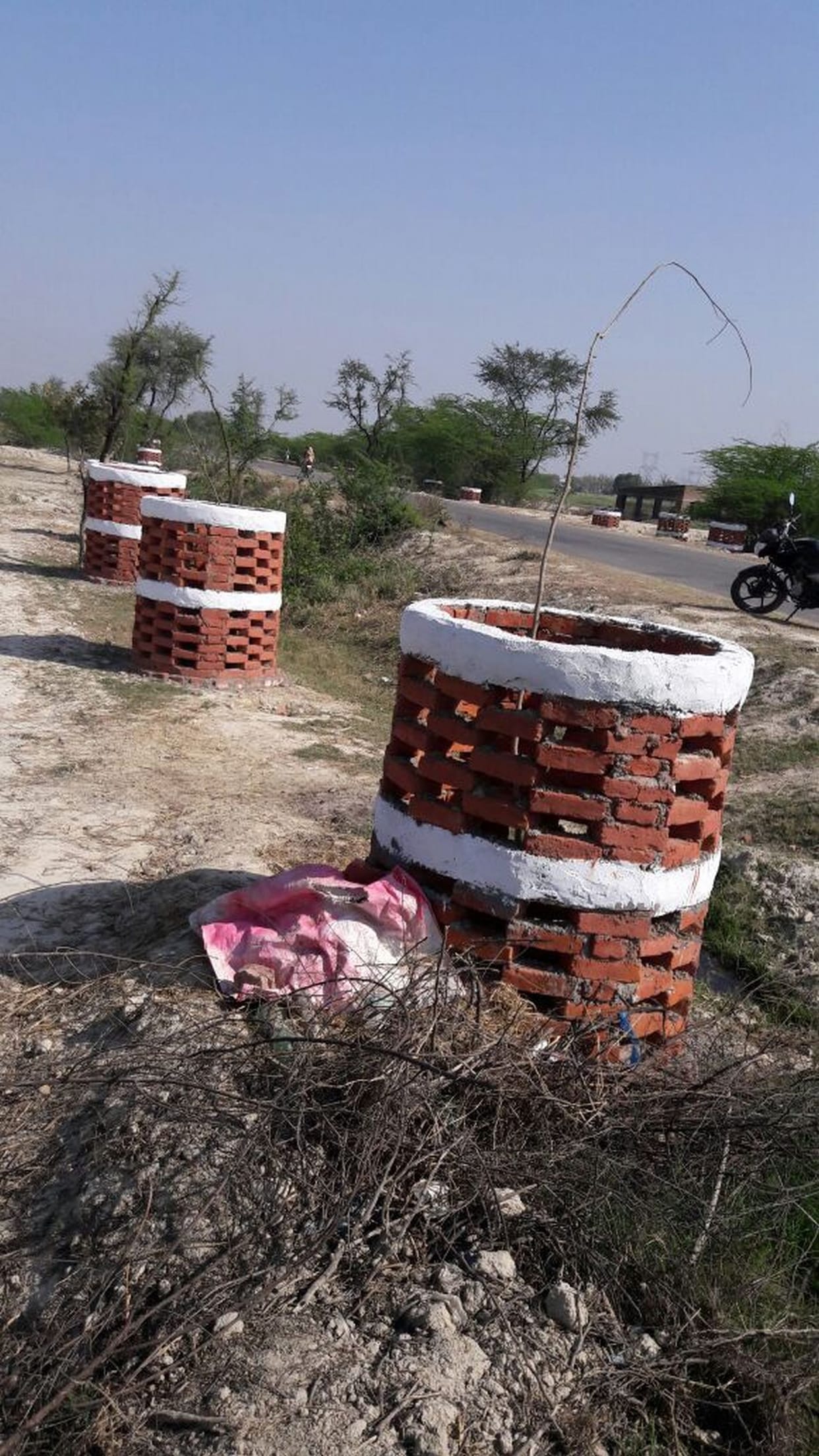 again found 15 lakh plants