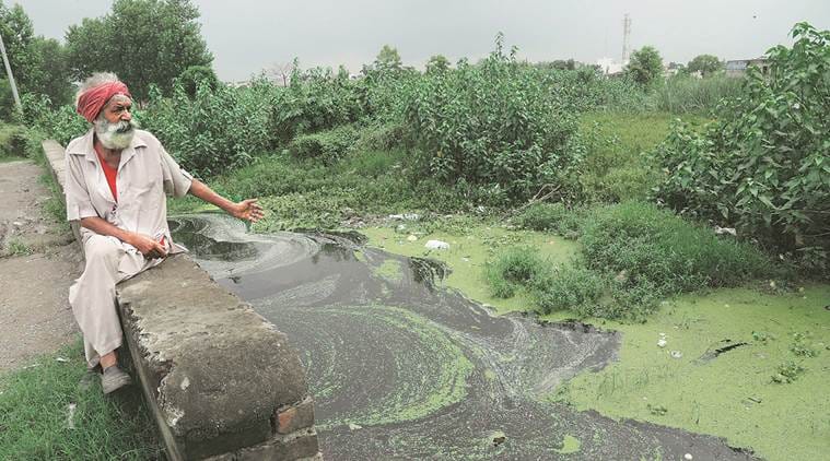 Pre Harappan Remnants Found While saraswati excavation