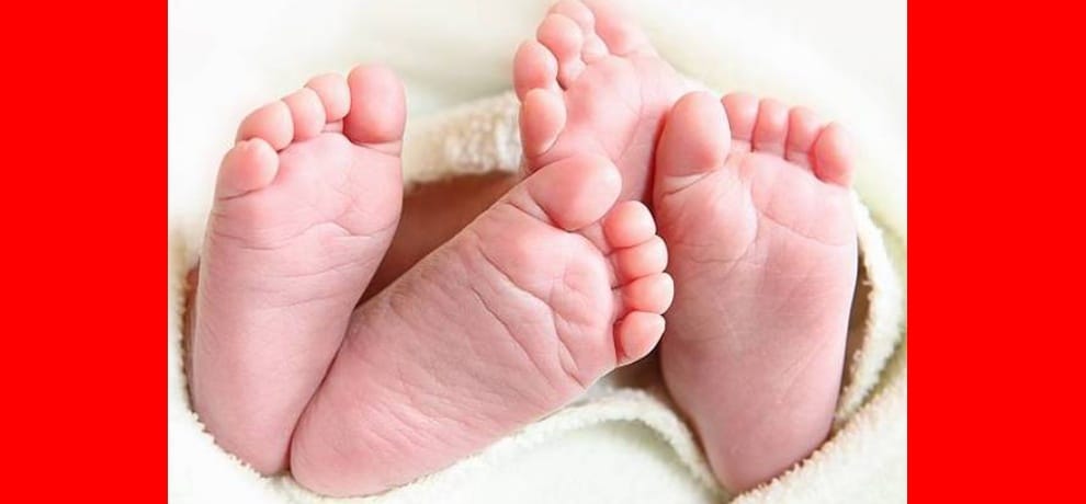 twin newborn baby found in dehradun